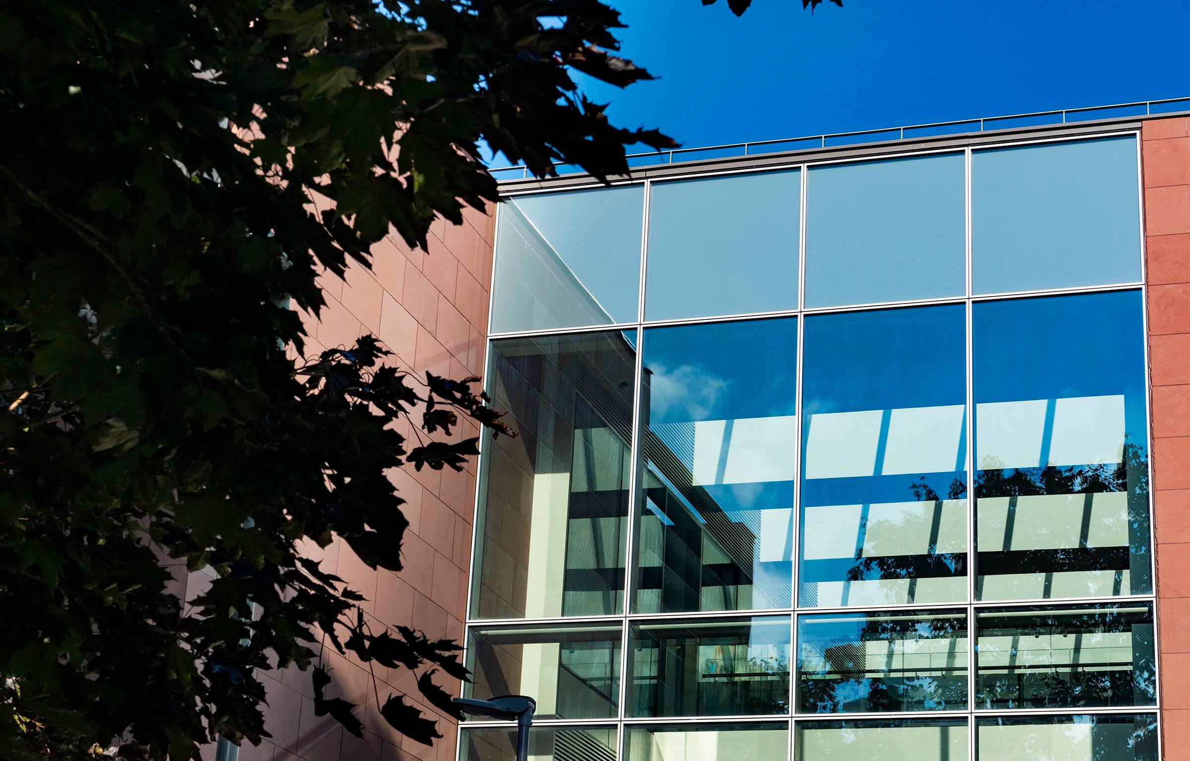 QUB School of 
Biological Sciences